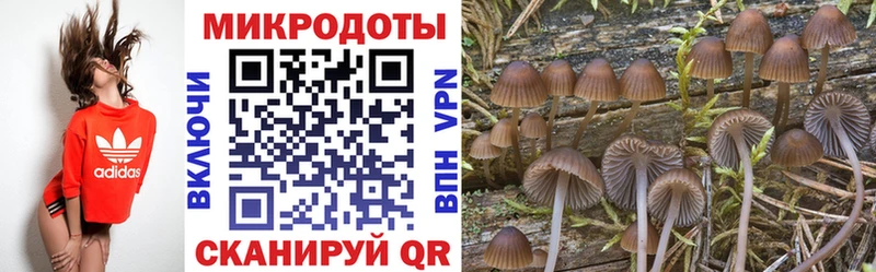 Псилоцибиновые грибы Psilocybe  сколько стоит  Белозерск 